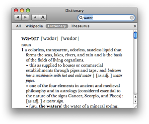 Mac OS X Dictionary